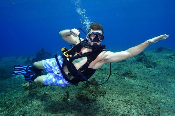 1 Tank Guided Shore Dive Including Equipment - Key Things I’d Mark on Your Checklist