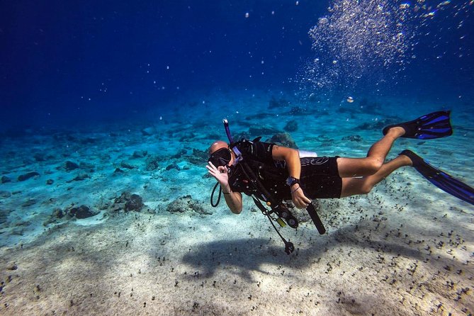 1 Tank Guided Shore Dive Including Equipment - Beach Access That Feels Like a Cheat Code