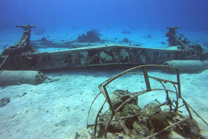1 Tank Guided Shore Dive Including Equipment - What You’ll Actually See Under 35 Feet