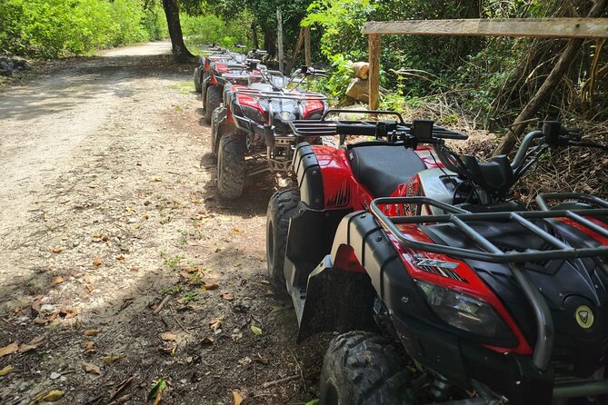 2 Hours ATV Jungle, Caverns and Mayan Ruins Tour - Caverns and Jungle Stops: The Appeal of Getting Off the Usual Path
