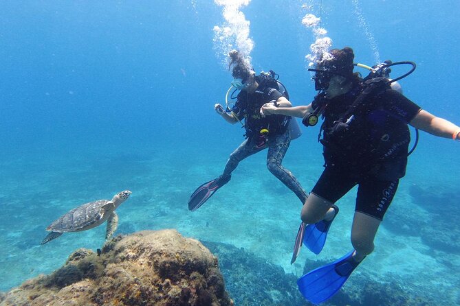 2 Tank Cozumel Reef Boat Dives - Palancar Reef first, second site after: how the reef plan works
