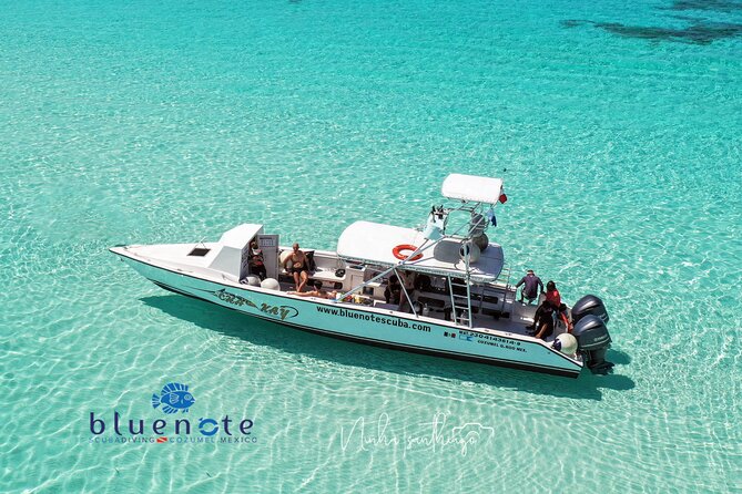 2 Tank Morning Dive: Scuba Diving in Cozumel - Key Highlights You’ll Care About