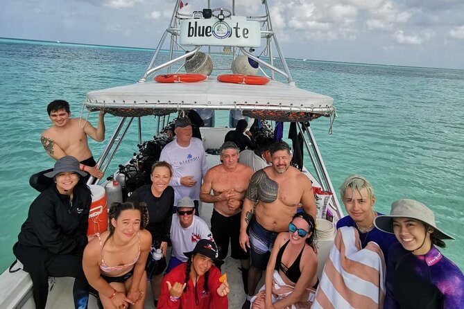 2 Tank Morning Dive: Scuba Diving in Cozumel - Guides and Safety: Why Small Groups Change Everything