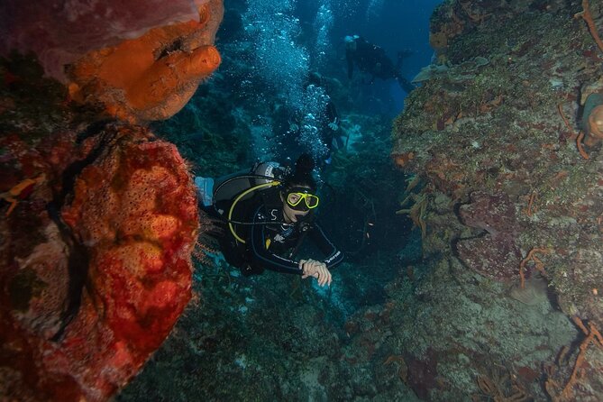 2 Tank Morning Dive: Scuba Diving in Cozumel - Who Should Book This Cozumel 2-Tank Morning Trip