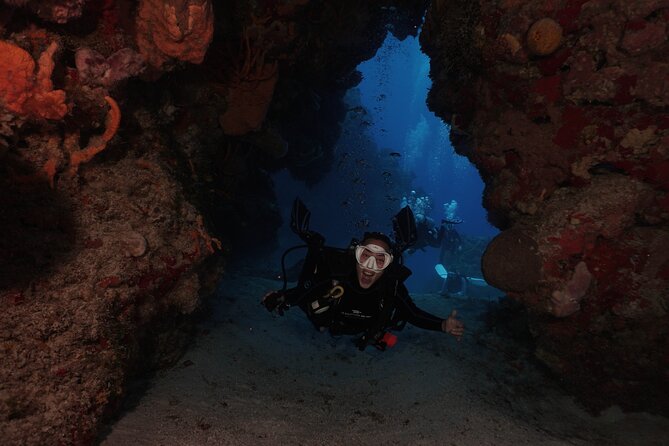 2 Tank Morning Dive: Scuba Diving in Cozumel - Should You Book It? My Decision Checklist