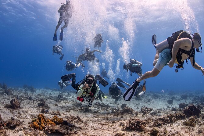 2 Tanks dives for Certified Divers in Cozumel - Key things to know before you go