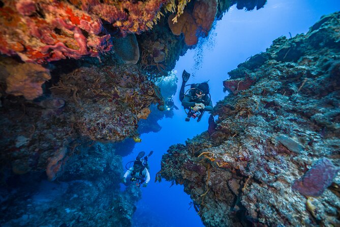 2 Tanks dives for Certified Divers in Cozumel - The light lunch break that keeps the second session enjoyable