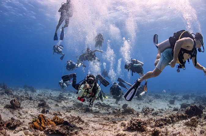 2 Tanks dives for Certified Divers in Cozumel - Casa Blanca as your second reef: more tunnels, caves, and coral barrier vibes