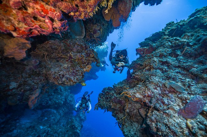 2 Tanks dives for Certified Divers in Cozumel - Gear setup and safety pace, especially if you’re rusty