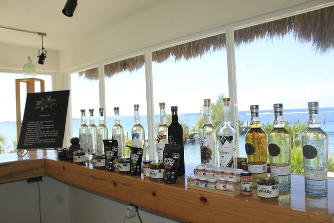3-Hour Small-Group Mezcal and Tequila Tasting activity from Cozumel - Where this tour may not match your style