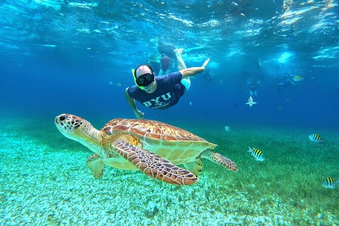 4 Hour Cozumel Turtle Sanctuary Experience on a Luxury Catamarán - Catamaran comfort and a 4-hour flow that stays fun