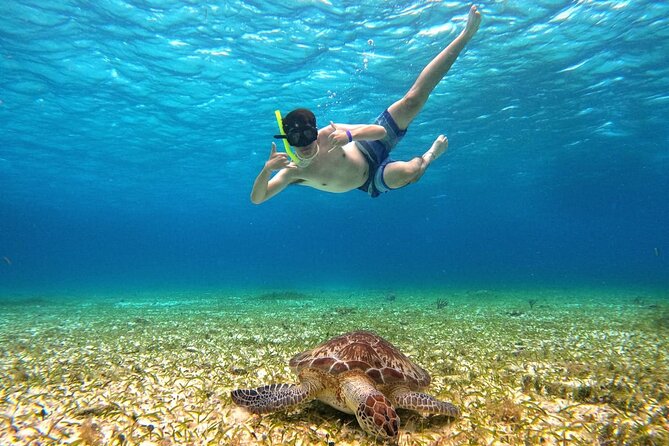 4 Hour Cozumel Turtle Sanctuary Experience on a Luxury Catamarán - Cielito, Little Heaven: the sandbank snack stop