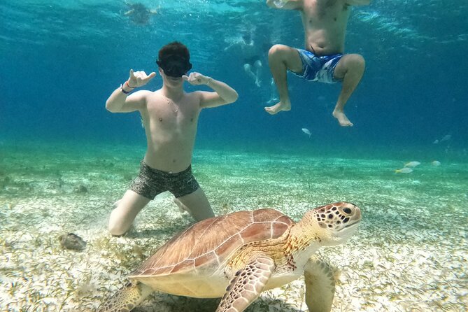 4 Hour Cozumel Turtle Sanctuary Experience on a Luxury Catamarán - Food, drinks, and the real value of this $77.50 day