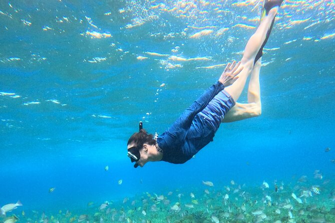 4 Hour Cozumel Turtle Sanctuary Experience on a Luxury Catamarán - Snorkeling logistics you can control: sunscreen and gear
