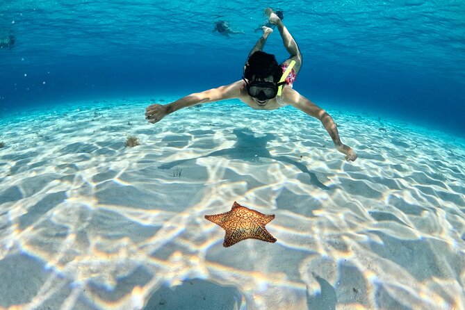 4 Hour Cozumel Turtle Sanctuary Experience on a Luxury Catamarán - Meeting point and getting on board without stress