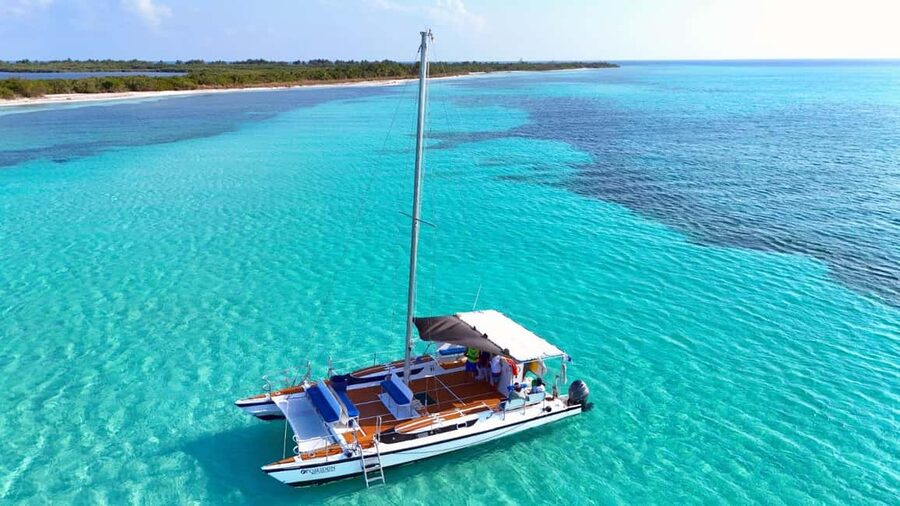 4 Hour Turtle Sanctuary Experience on a Luxury Catamarán - Luxury catamaran comfort, with bathrooms and partial shade