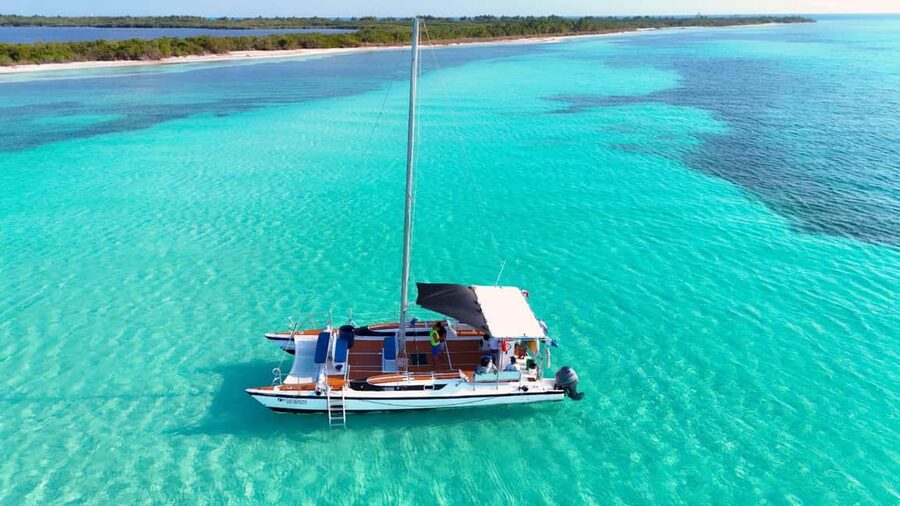 4 Hour Turtle Sanctuary Experience on a Luxury Catamarán - Green turtle sanctuary snorkel: calm encounters, not guaranteed sightings