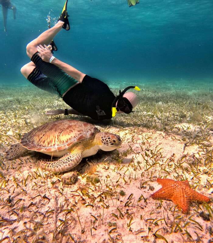 4 Hour Turtle Sanctuary Experience on a Luxury Catamarán - Cielito Little Heaven: snacks, drinks, and that calm sandbank feeling