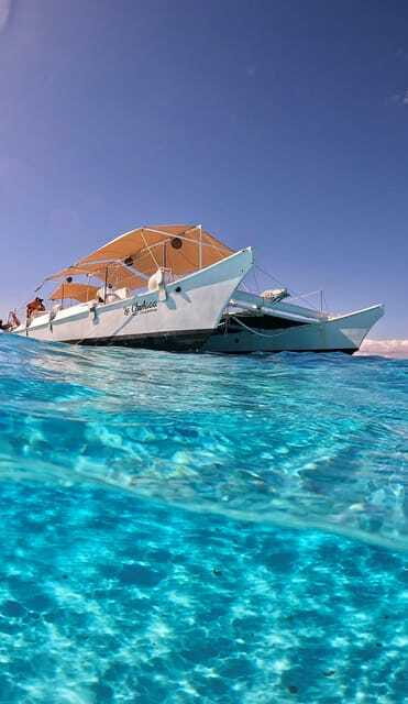 4 Hour Turtle Sanctuary Experience on a Luxury Catamarán - Guides, vibe, and language: what you can count on