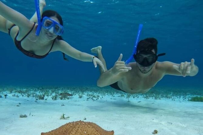 4 hours of shared snorkeling to El Cielo - Palancar and Columbia: the reef combo that makes the time feel worth it