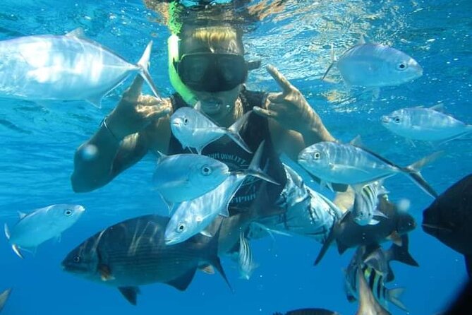 4 hours of shared snorkeling to El Cielo - The boat, group size, and how guides keep things safe