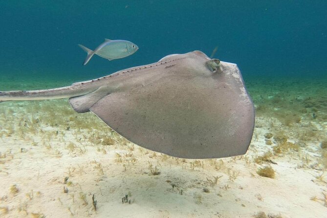 4 hours of shared snorkeling to El Cielo - Timing, pace, and the one drawback to plan around