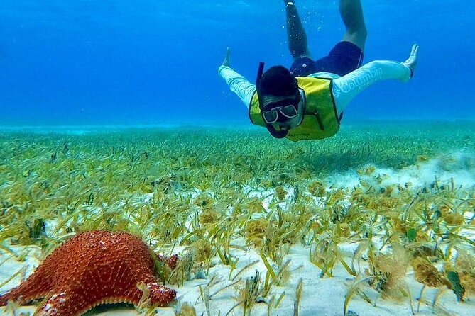 4 hours of shared snorkeling to El Cielo - Price and logistics: where the $53.77 really stands