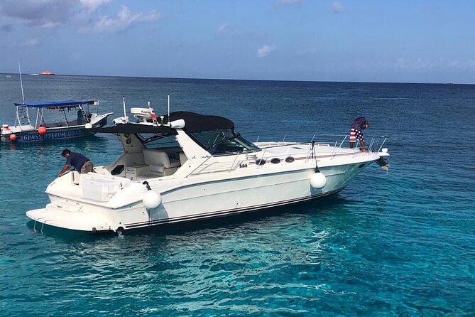 5 Hr Private Catamaran Cruise with lunch and drinks to 15-20 ppl - What You Might See on Cozumel Reefs