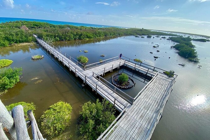 Amazing Jeep Tour Visit Punta Sur Park and San Gervasio Ruins - Southern Cozumel in one Jeep ride: Punta Sur, ruins, beach, snorkeling