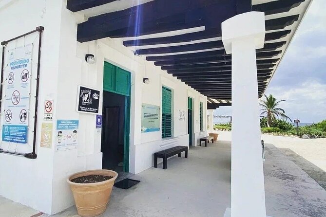 Amazing Jeep Tour Visit Punta Sur Park and San Gervasio Ruins - Skyreef Beach Club snorkeling: coral viewing in a structured 45 minutes