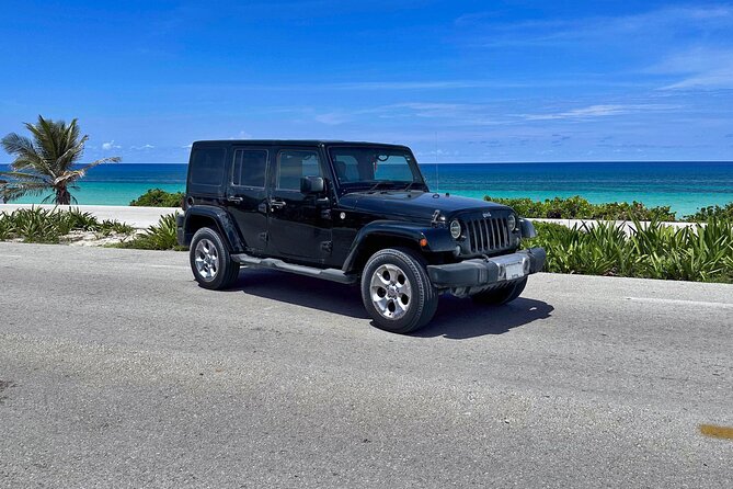 Amazing Jeep Tour Visit Punta Sur Park and San Gervasio Ruins - Guide quality matters more than you think (and this tour has strong examples)