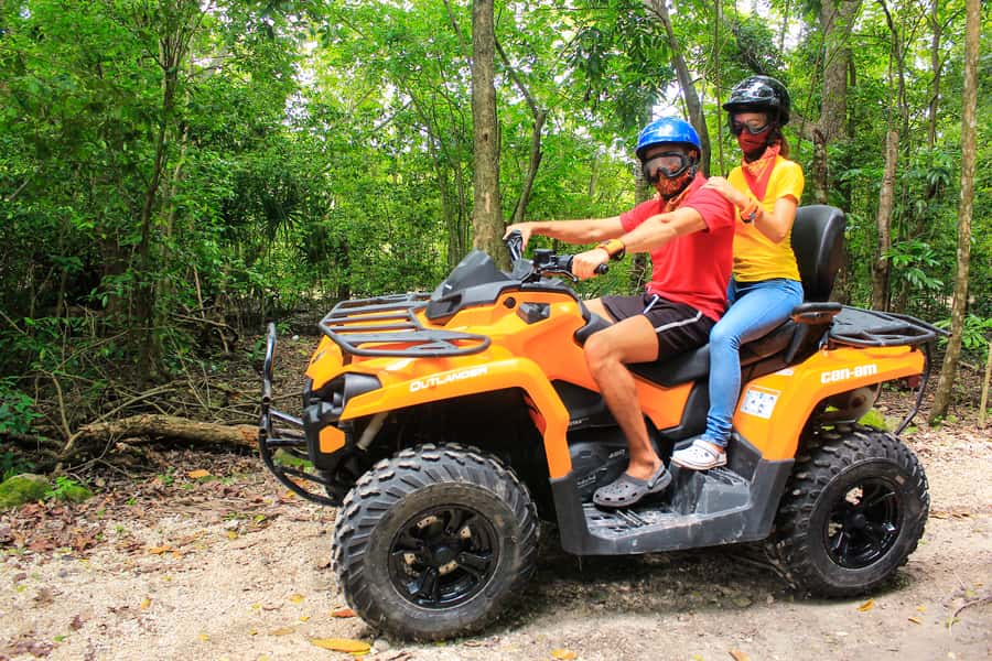 ATV Adventure to Jade Cavern Double - Wildlife moments: orchids, palm trees, and bats you might actually see