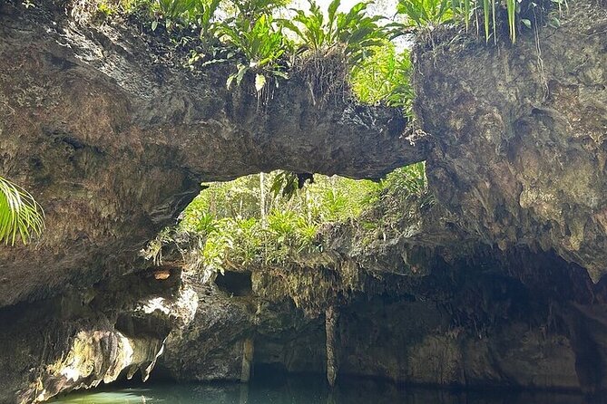 Atv and Cenote All Terrain - ATV ride through narrow jungle trails: the fun that can get messy