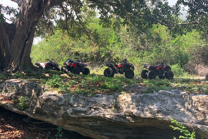 ATV Jungle Adventure to Hidden Mayan Ruins and Caves - Following Julio Through the Cozumel Jungle to Hidden Mayan Ruins