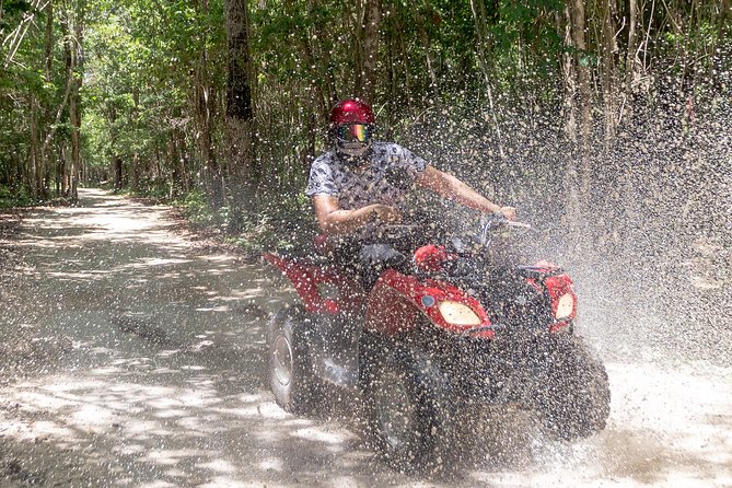 ATV Mud Kicking and Snorkeling by Boat in Cozumel - Snorkeling by boat in the National Marine Park: the part that most people remember