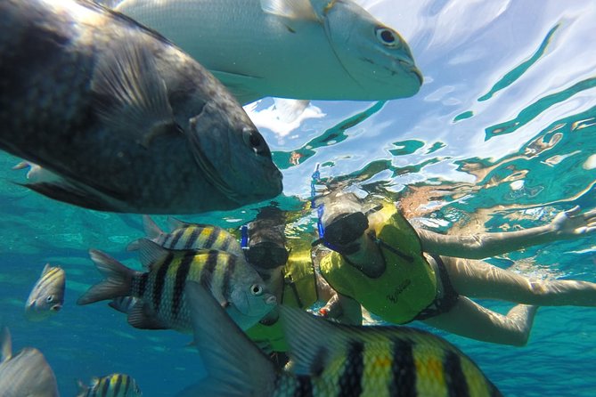 ATV Mud Kicking and Snorkeling by Boat in Cozumel - Water park time at the beach club, why it helps families