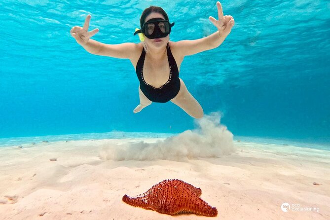 Boat Tour to Heaven in Cozumel with Ceviche - Reef stops and the captain’s plan (why it can change)