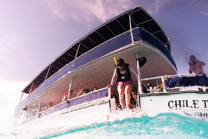 Catamaran Excursion + Open bar + Snorkeling at El Cielo - Stop 2: Palancar Reef and the sea turtle possibility