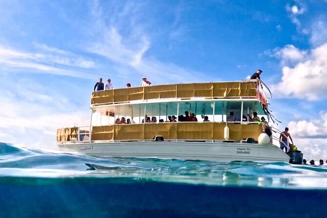 Catamaran Excursion + Open bar + Snorkeling at El Cielo - Stop 3: El Cielo sandbar, starfish viewing in clear shallow water