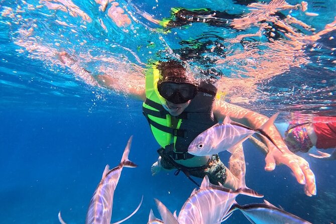 Catamaran in Cozumel with snorkeling at El Cielo and open Bar - Stop 1: Playa El Cielo snorkeling for 35 minutes