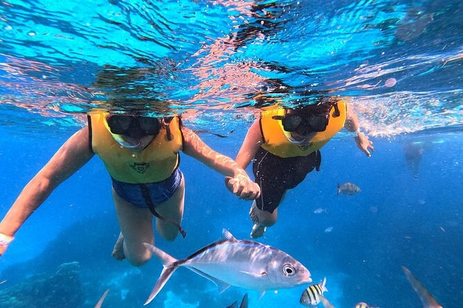 Catamaran in Cozumel with snorkeling at El Cielo and open Bar - Drinks and food: open bar timing plus a real meal afterward