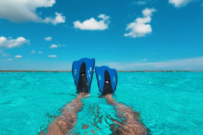 Catamaran in Cozumel with snorkeling at El Cielo and open Bar - Getting checked in near Muelle Centro, and why signage matters