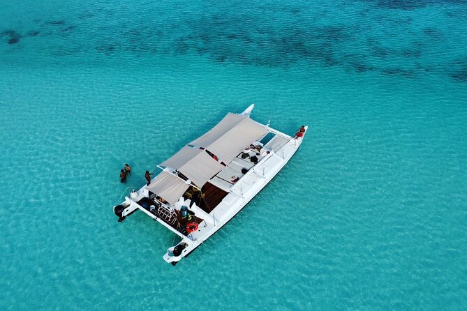 Catamaran Snorkeling to El Cielo and The Money Bar Beach Club - Key highlights you should know before you go