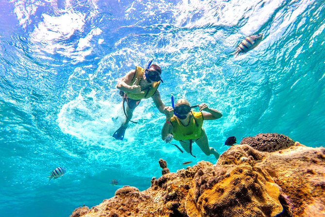 Catamaran Snorkeling to El Cielo and The Money Bar Beach Club - The catamaran ride, smooth sailing plus onboard snacks and drinks