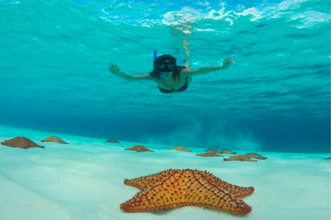 Catamaran Snorkeling to El Cielo and The Money Bar Beach Club - Who this Money Bar to El Cielo snorkeling trip fits best