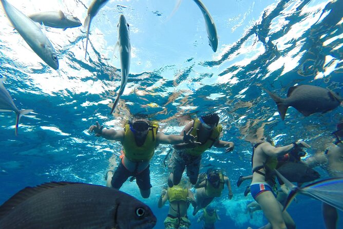 Catamaran Snorkeling to El Cielo and The Money Bar Beach Club - Practical logistics on Cozumel time, especially if you are on a cruise