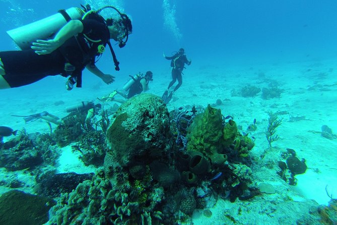 Chankanaab Cozumel Scuba Diving - Key Things That Make Chankanaab Special