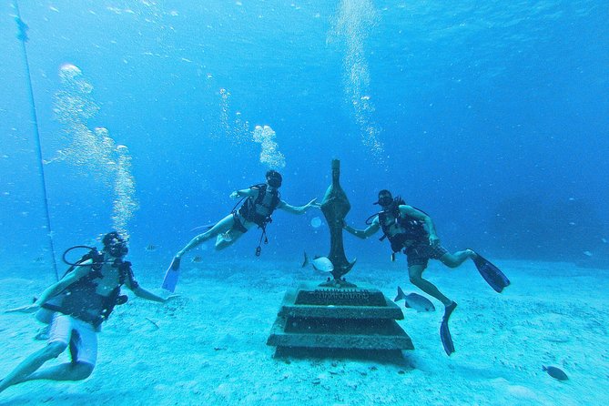 Chankanaab Cozumel Scuba Diving - Wildlife Watching That Feels Personal, Not Just Random