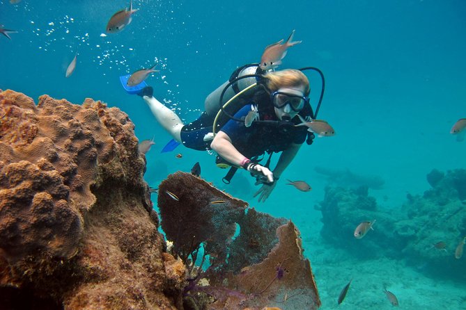 Chankanaab Cozumel Scuba Diving - Gear, Comfort, and What to Watch For