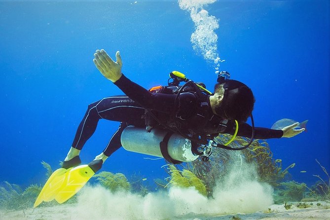 Chankanaab Cozumel Scuba Diving - Before You Go Underwater: Training, Gear, and a Calm Shallow Start